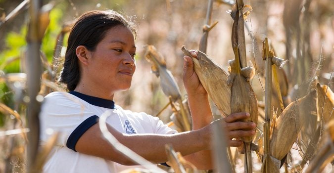 Foto: ONU Mujeres/Pim Schalkwijk