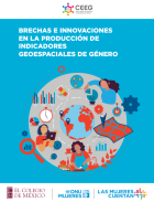 Portada de la publicación "Brechas e innovaciones en la producción de indicadores geoespaciales de género"